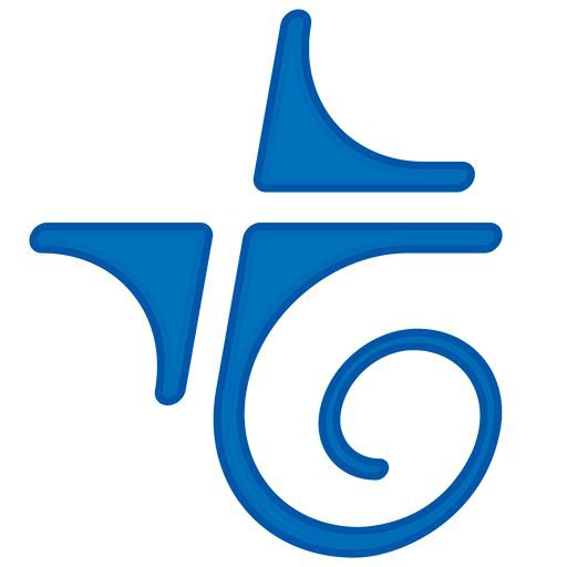 telebirr logo